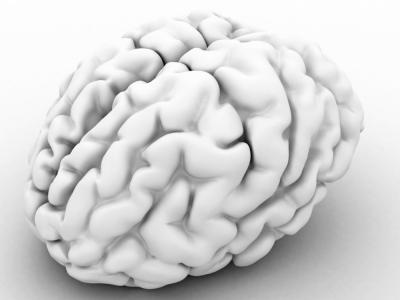 imagen de un cerebro 3D
