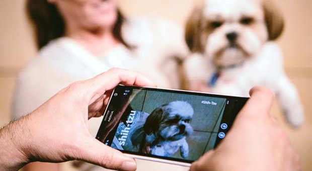 Imagen de un celular tomando una fotografía de un perro